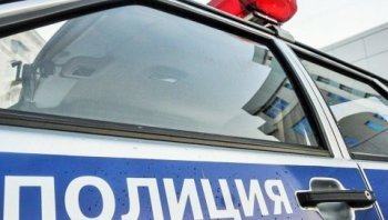 В Лузском районе полицейские раскрыли угон и поджог автомобиля